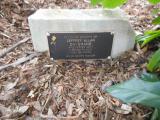 image of grave number 619113